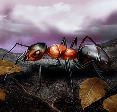 Гигантский муравей. Галерея изображений онлайн игры Троецарствие